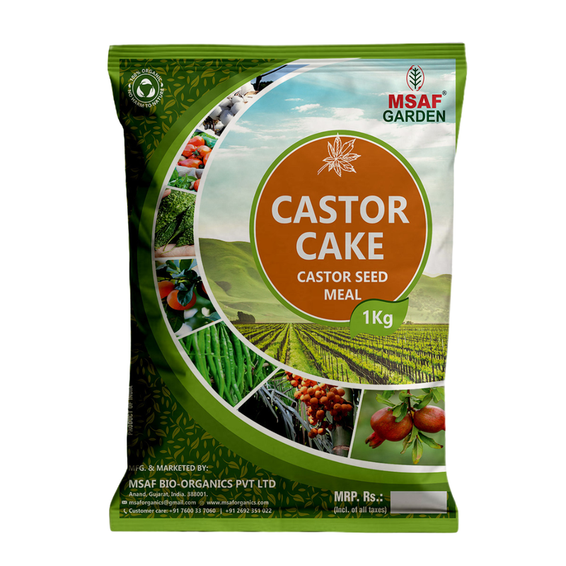 CASTER CAKE