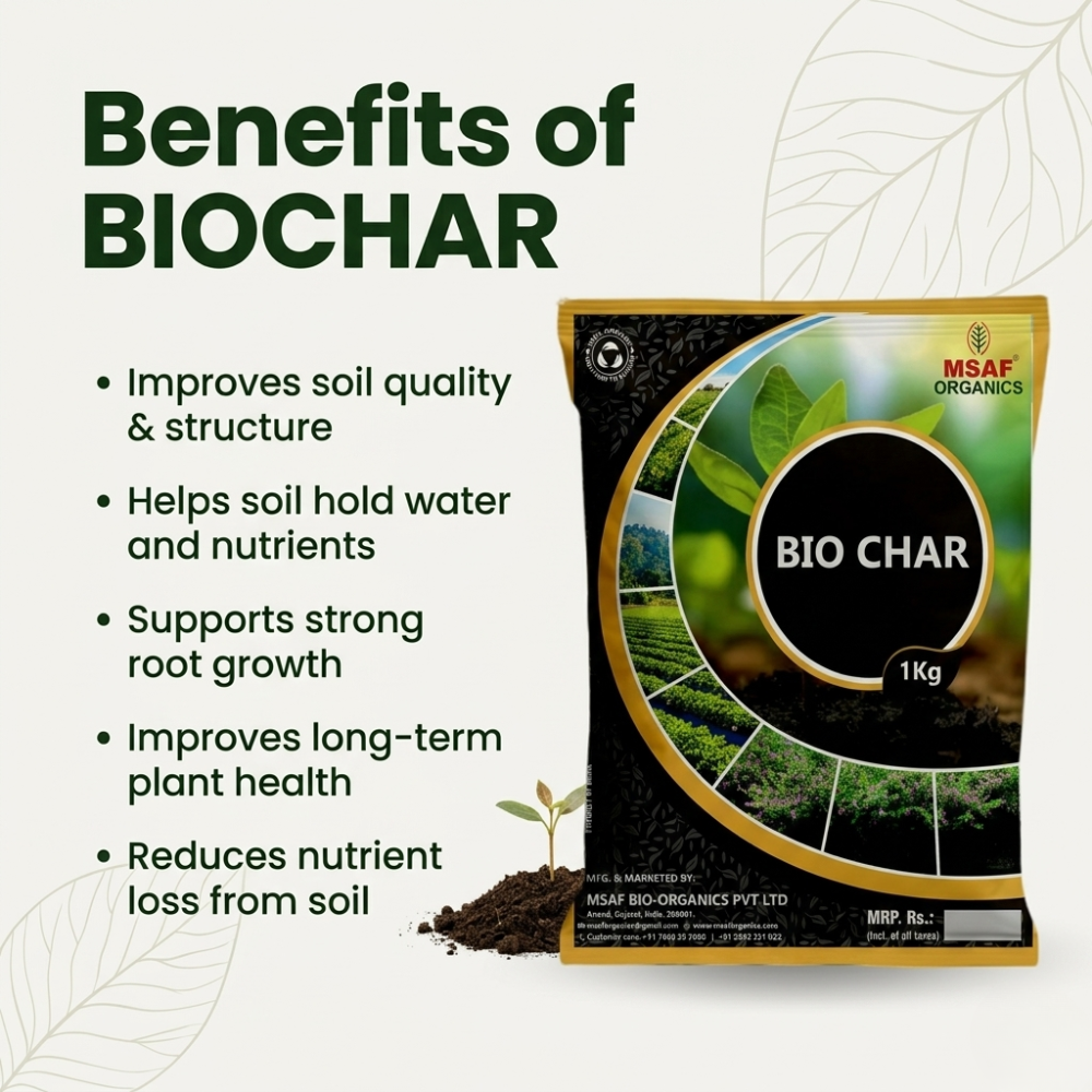 Benefits of Msaf Garden Bio Char for soil aeration