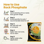 ROCK PHOSPHATE