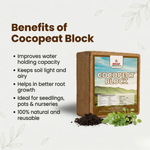 COCO PEAT BLOCK