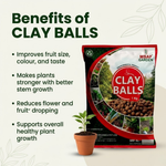 CLAY BALL