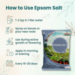 EPSOM SALT