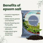EPSOM SALT