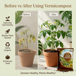 Vermicompost – 100% Organic Fertilizer for Healthy Plant Growth Fertilizer