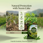 NEEM CAKE