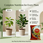 MIX MICRONUTRIENTS