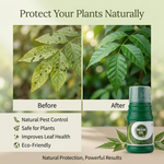 NEEM OIL
