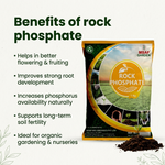 ROCK PHOSPHATE