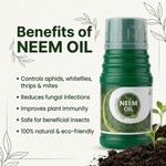 NEEM OIL