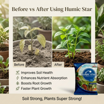 HUMIC STAR