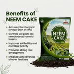 NEEM CAKE