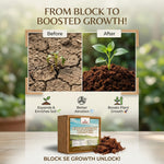 COCO PEAT BLOCK