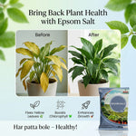 EPSOM SALT