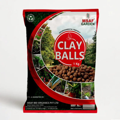 CLAY BALL