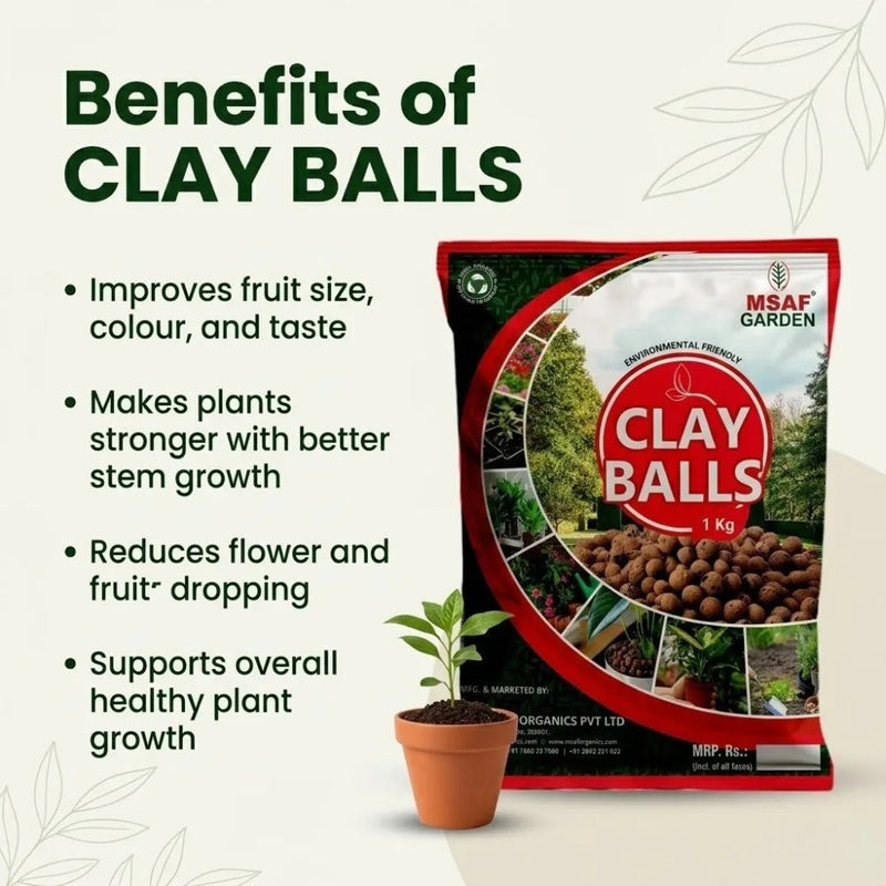 CLAY BALL
