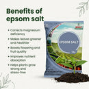 EPSOM SALT