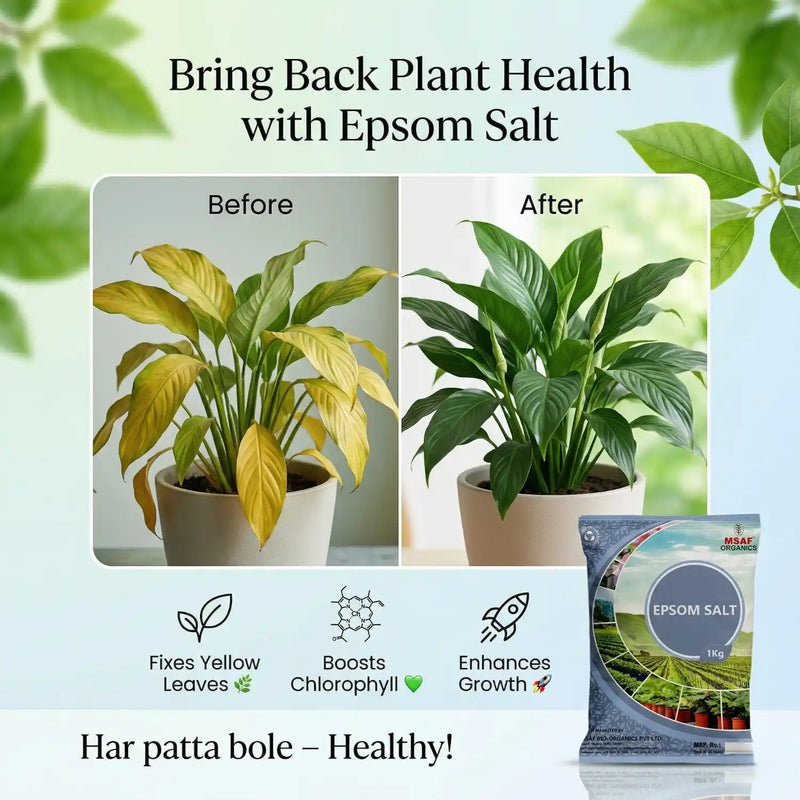 EPSOM SALT