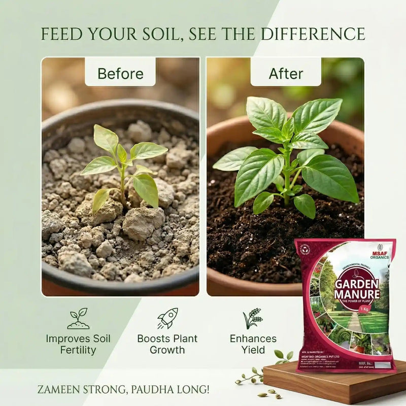 GARDEN MANURE