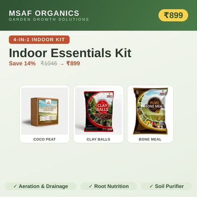 🏠 Indoor Plant Essentials Kit
