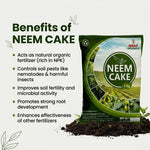 NEEM CAKE - Msaf Garden