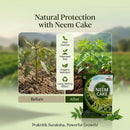 NEEM CAKE