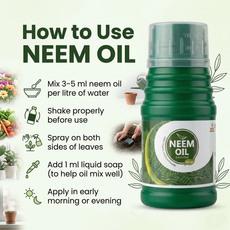 NEEM OIL