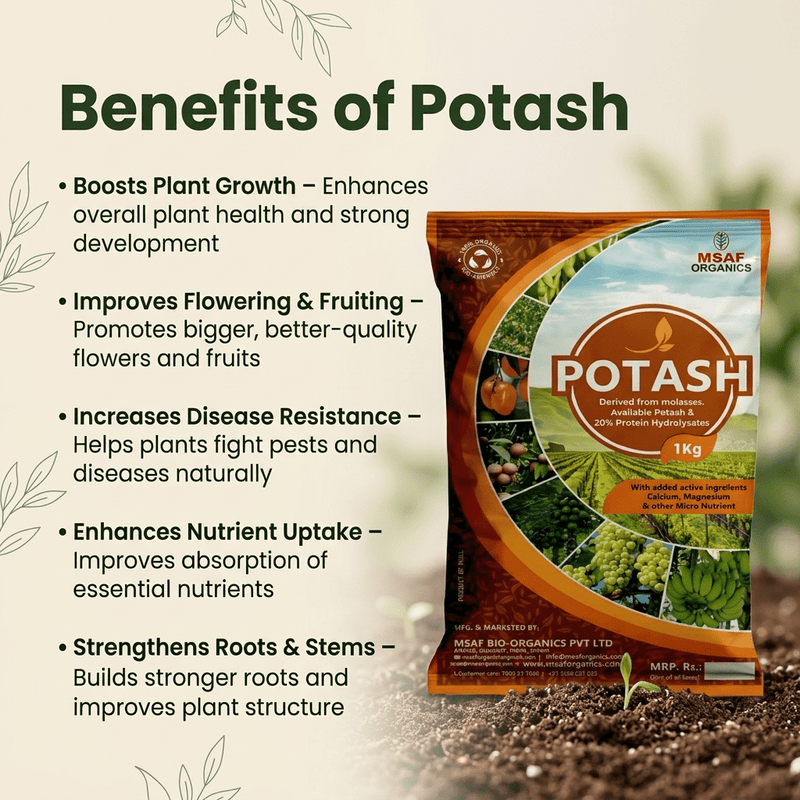 POTASH