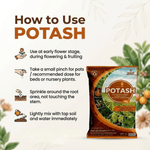 POTASH - Msaf Garden