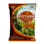 POTASH - Msaf Garden