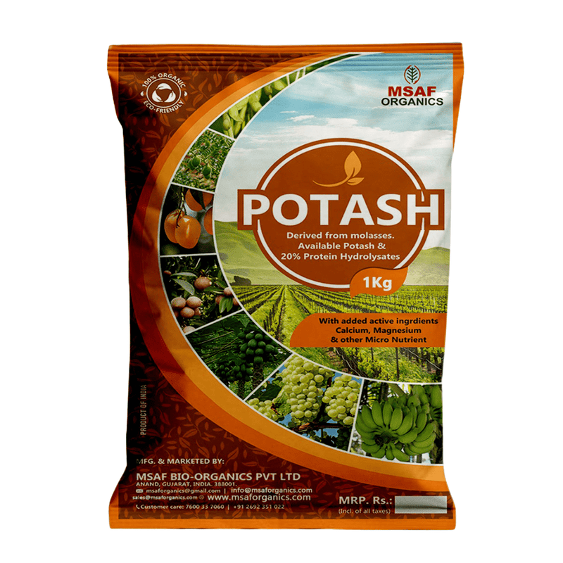 POTASH - Msaf Garden