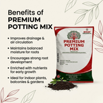 PREMIUM POTTING MIX - Msaf Garden