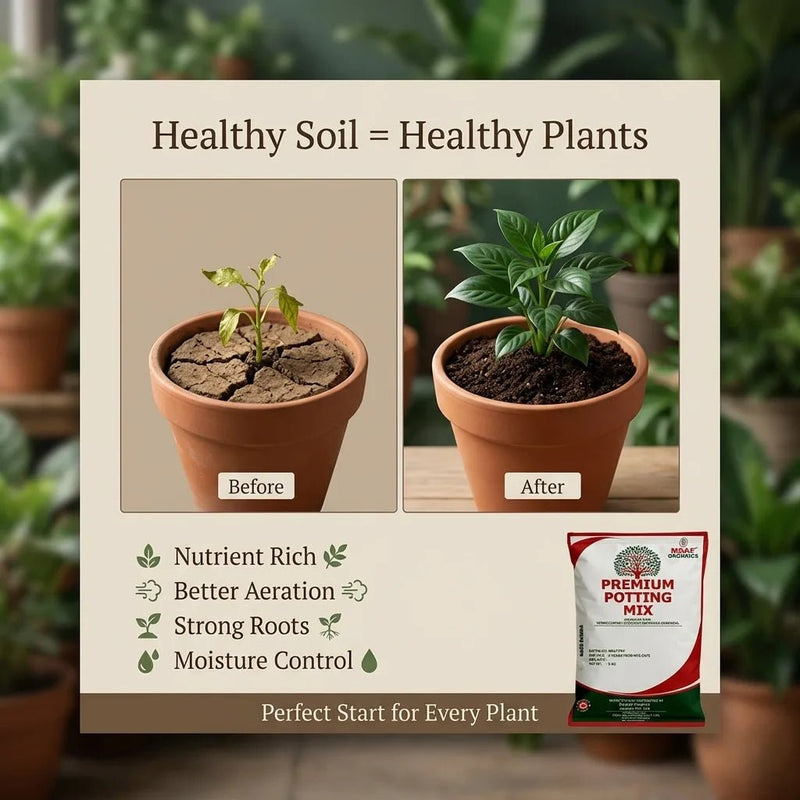 PREMIUM POTTING MIX