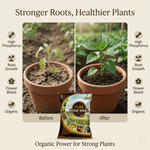 PURE BONE MEAL - Msaf Garden