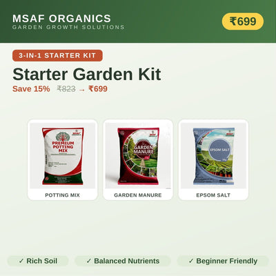 🌱 Starter Garden Kit