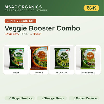 🥦 Veggie Booster Combo