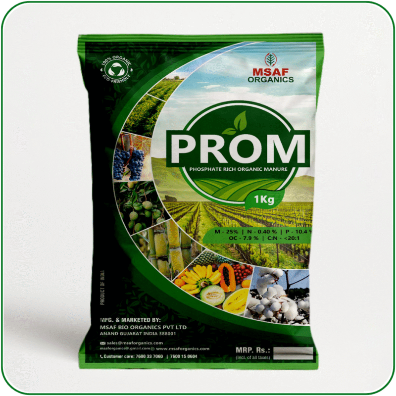 PROM - Image 2