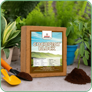 COCO PEAT BLOCK