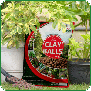 CLAY BALL