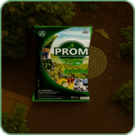 PROM