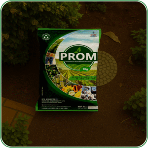 PROM