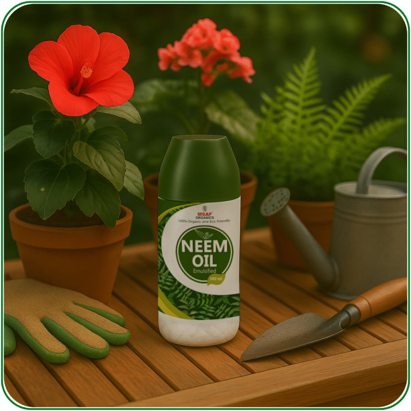 NEEM OIL