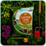 Caster Cake