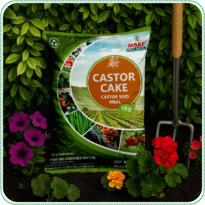 Caster Cake