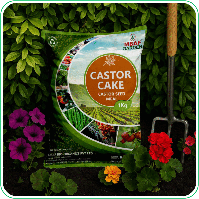 Caster Cake