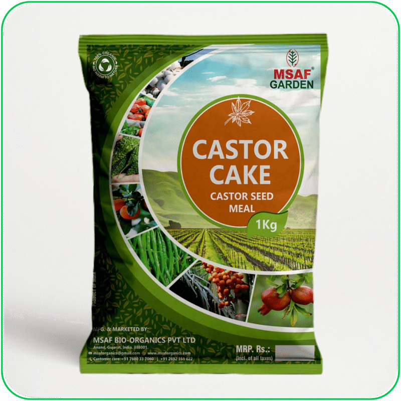 Caster Cake - Image 2