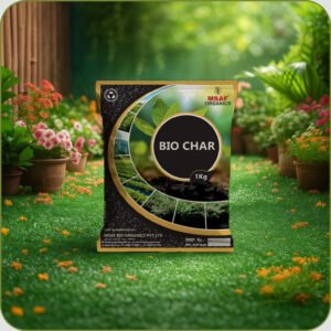 BIO-CHAR